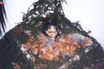 Koasapass 2000 6